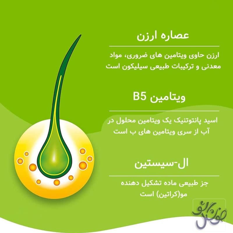 خرید کپسول پریورین - خوشگل شو