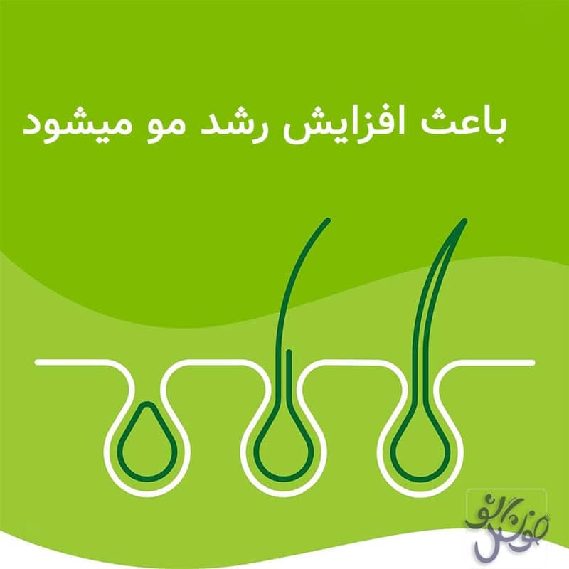 قرص پریورین چیست و چگونه به تقویت مو کمک می‌کند؟