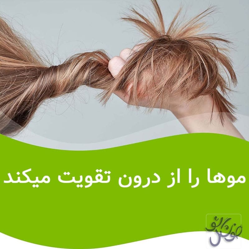 مکمل پریورین