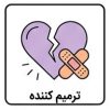 ترمیم کننده