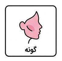 گونه