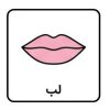 لب